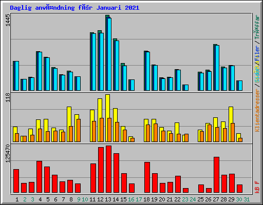 Daglig användning för Januari 2021