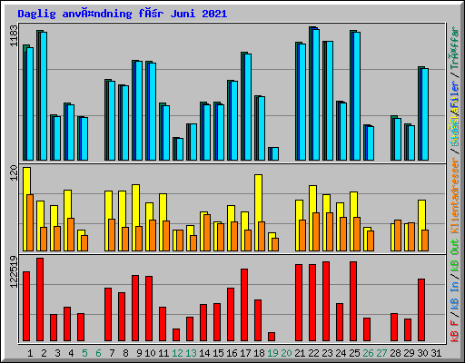 Daglig användning för Juni 2021