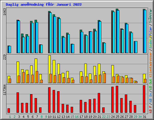 Daglig användning för Januari 2022