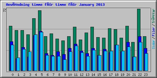 Användning timme för timme för January 2013