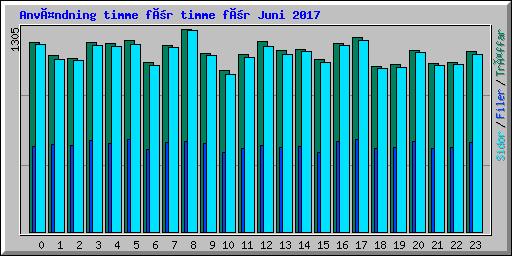 Användning timme för timme för Juni 2017