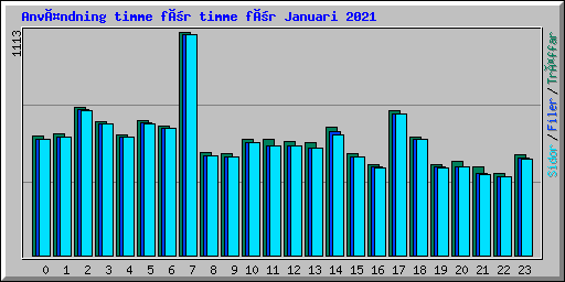 Användning timme för timme för Januari 2021