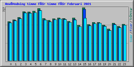 Användning timme för timme för Februari 2021