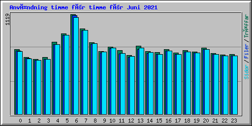 Användning timme för timme för Juni 2021