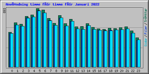 Användning timme för timme för Januari 2022