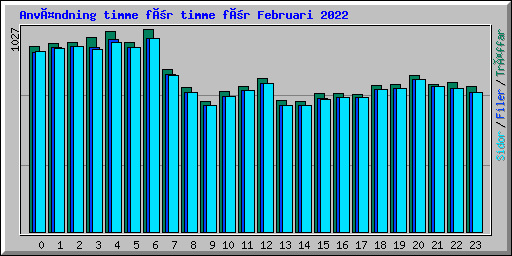 Användning timme för timme för Februari 2022